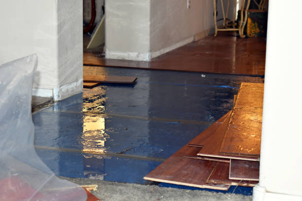 Professional Emergency Water Damage Restoration technician working in Elgin, OH